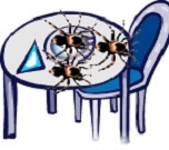 ants on table